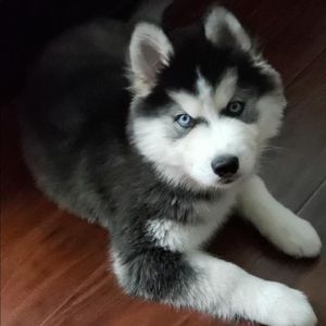 Meet your Posher, Rebecca